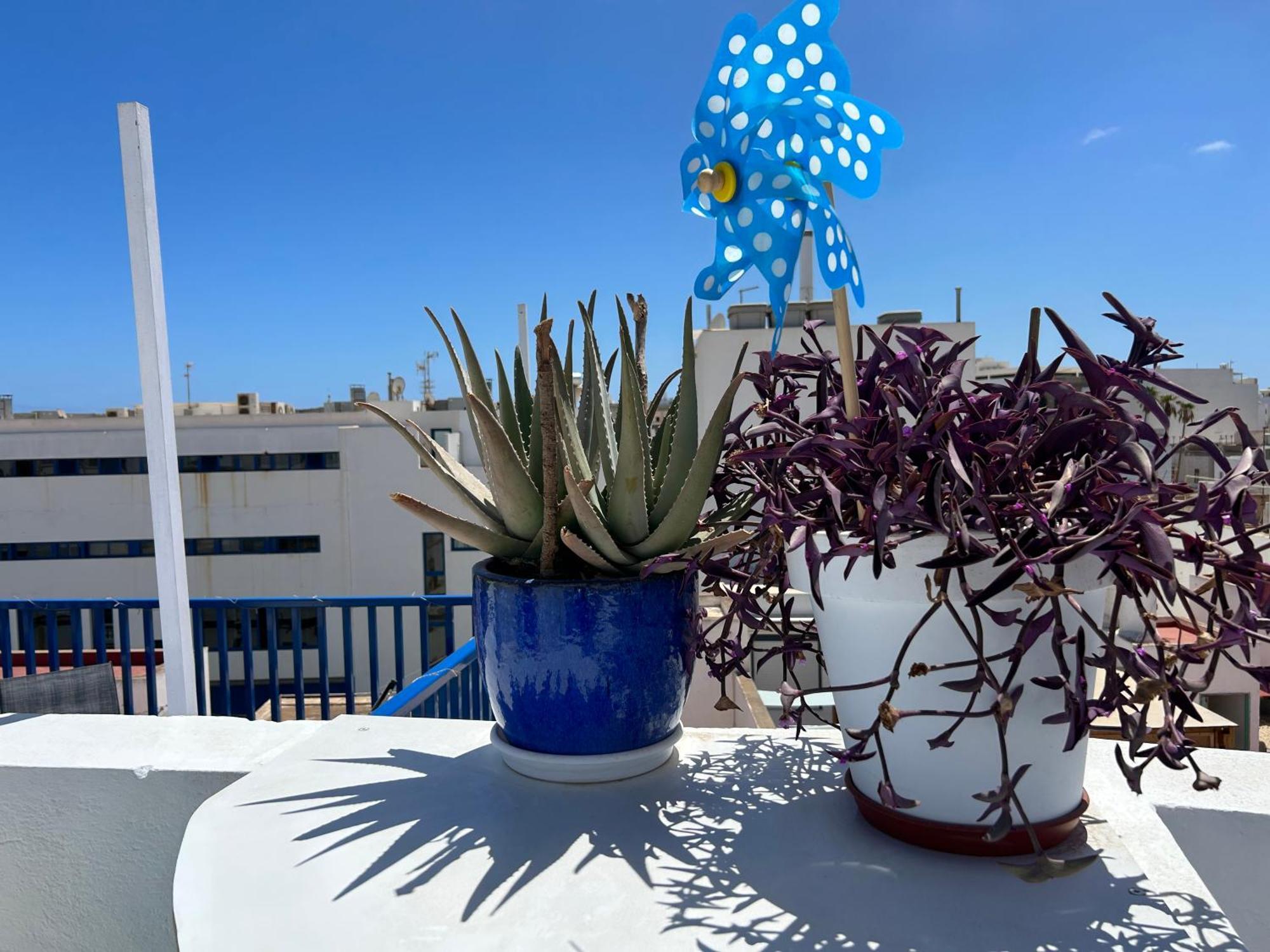 La Buganvilla Rooms Arrecife  Esterno foto
