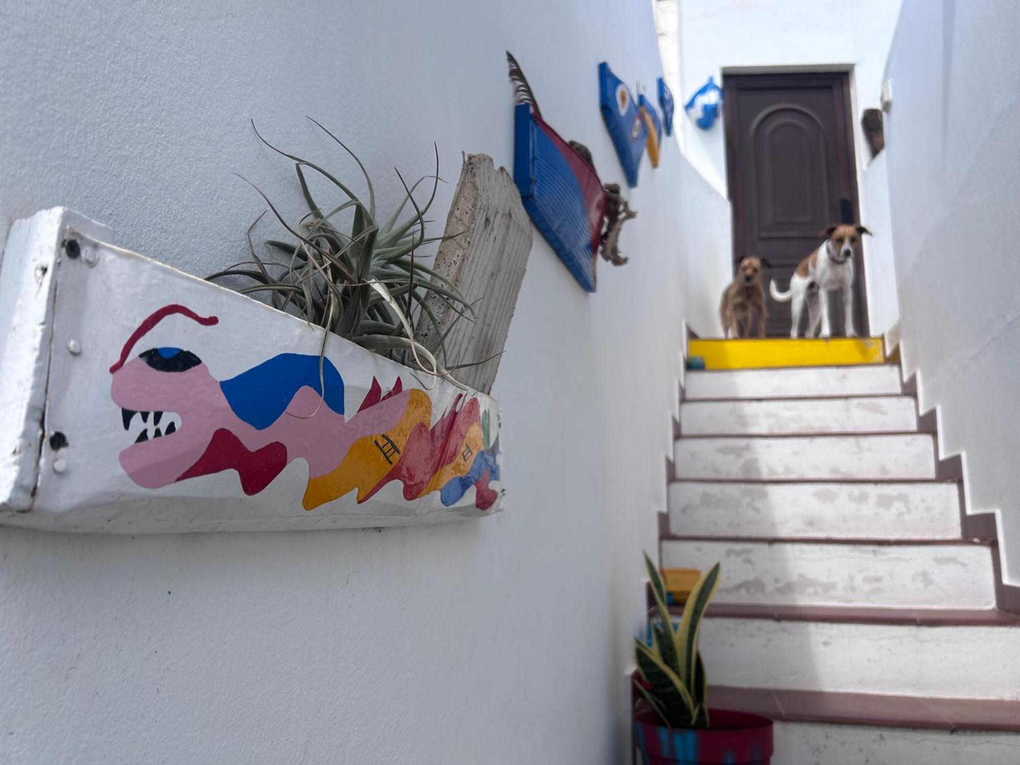 La Buganvilla Rooms Arrecife  Esterno foto